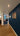 Interior hallway with wood flooring, navy blue accent wall, photo collage, and black framed glass hinged door