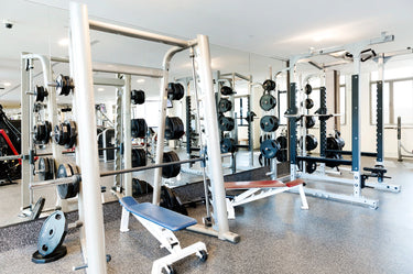 Gym interior with weightlifting equipment including barbells and weight racks.