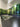 Kitchen with forest-print decorative glass backsplash, sleek sink, and dark countertop