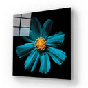 Cerulean Daisy Glass Wall Art - Square Sizes - DIY - CreoGlass®