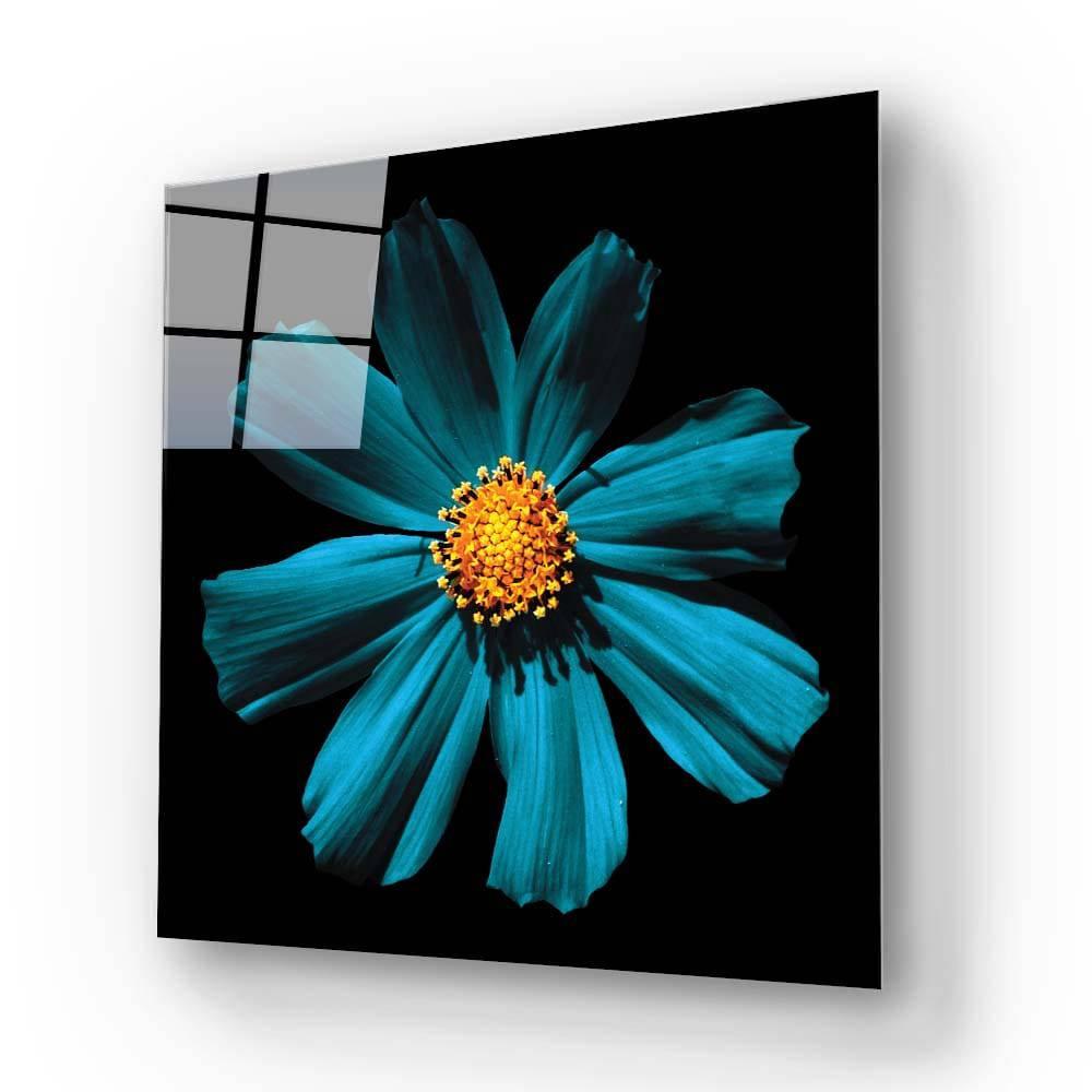 Cerulean Daisy Glass Wall Art - DIY - CreoGlass®