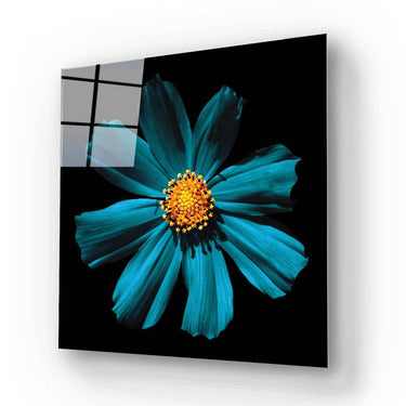 Cerulean Daisy Glass Wall Art - Square Sizes - DIY - CreoGlass®