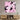 Modern wall art with white sculpture and black moss on pink textured background, above wooden console