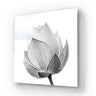 Lotus Black & White 2 Glass Wall Art - DIY - CreoGlass®