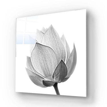Lotus Black & White 2 Glass Wall Art - DIY - CreoGlass®