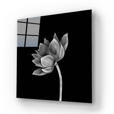 Lotus Black & White Glass Wall Art - DIY - CreoGlass®