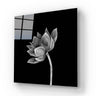 Lotus Black & White Glass Wall Art - DIY - CreoGlass®