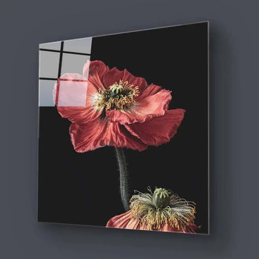 Poppy Glass Wall Art - Square Sizes - DIY - CreoGlass®