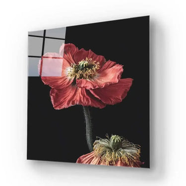 Poppy Glass Wall Art - Square Sizes - DIY - CreoGlass®
