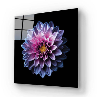 Purple Dahlia Glass Wall Art - Square Sizes - DIY - CreoGlass®