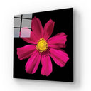 Red Daisy Glass Wall Art - Square Sizes - DIY - CreoGlass®