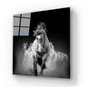 Running Horses Glass Wall Art - Square Sizes - DIY - CreoGlass®