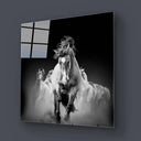 Running Horses Glass Wall Art - Square Sizes - DIY - CreoGlass®