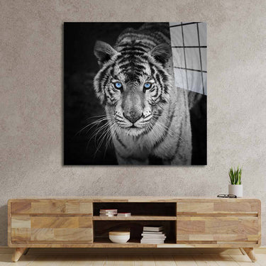 Tiger with Blue Eyes Glass Wall Art - DIY - CreoGlass®