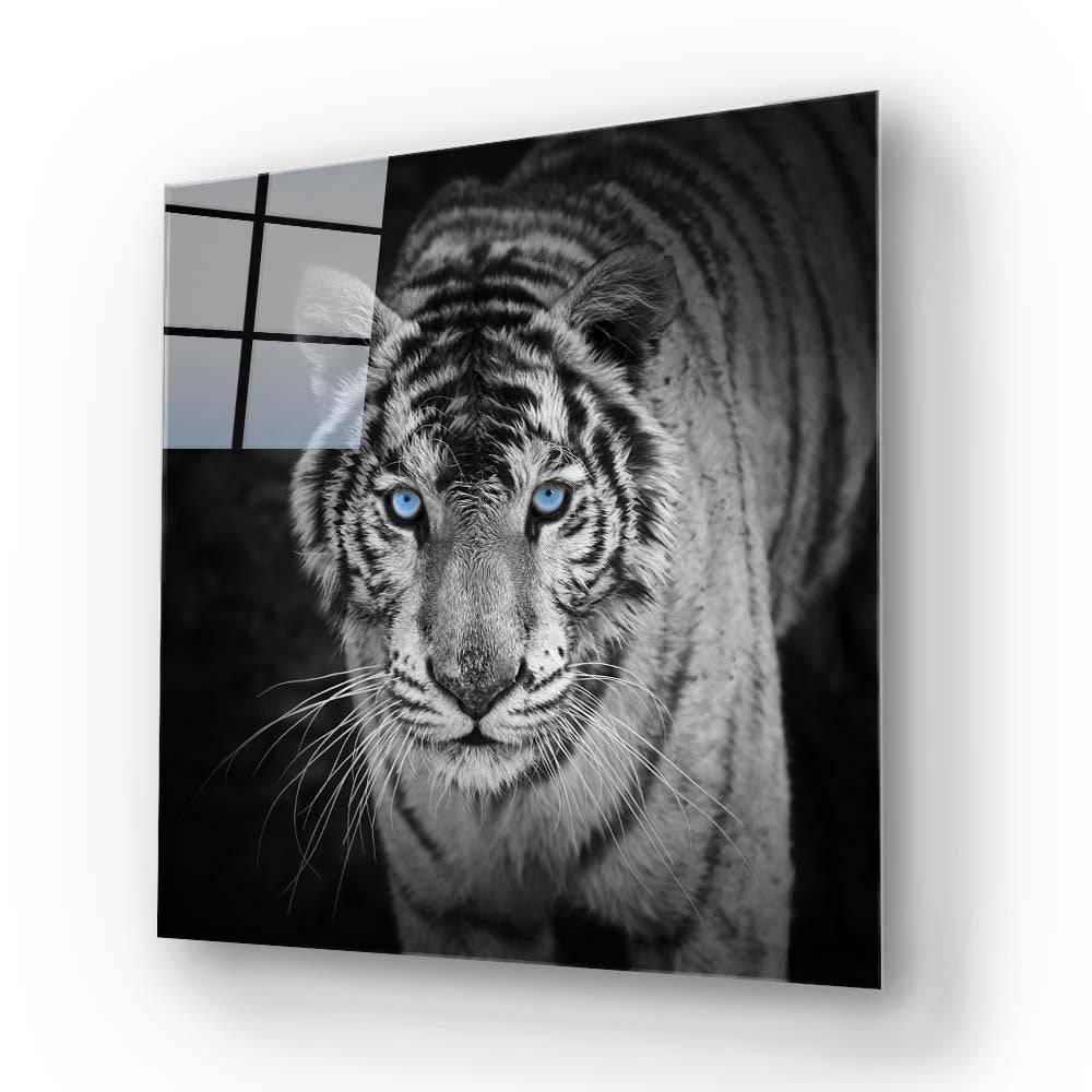 Tiger with Blue Eyes Glass Wall Art - DIY - CreoGlass®