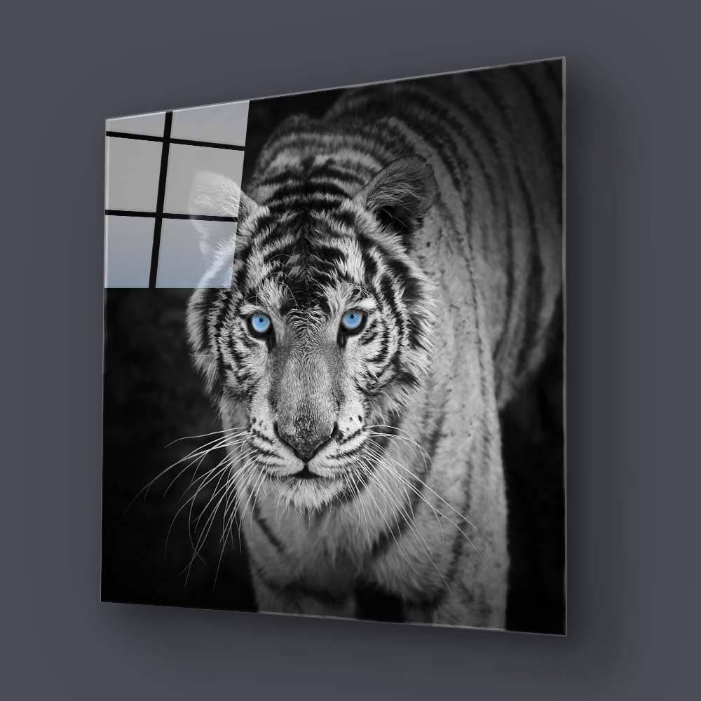 Tiger with Blue Eyes Glass Wall Art - DIY - CreoGlass®