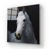 White Horse Glass Wall Art - DIY - CreoGlass®