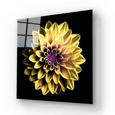 Yellow and Purple Dahlia Glass Wall Art - Square Sizes- DIY - CreoGlass®