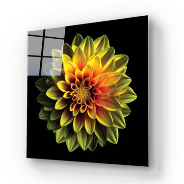 Yellow Dahlia Glass Wall Art - Square Sizes - DIY - CreoGlass®