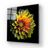 Yellow Dahlia Glass Wall Art - Square Sizes - DIY - CreoGlass®