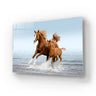 Arab Mare Foal Running Through Splashes Glass Wall Art - DIY - CreoGlass®
