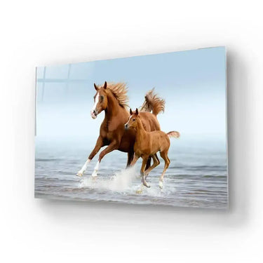 Arab Mare Foal Running Through Splashes Glass Wall Art - DIY - CreoGlass®