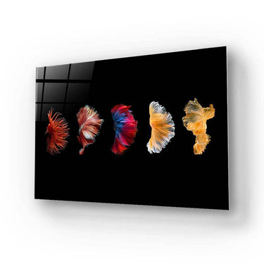 Betta Fish Tail Glass Wall Art - DIY - CreoGlass®