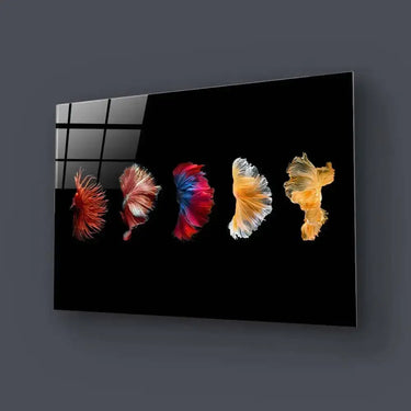 Betta Fish Tail Glass Wall Art - DIY - CreoGlass®