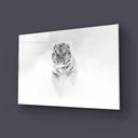 Black and White Tiger Wild Winter Glass Wall Art - DIY - CreoGlass®