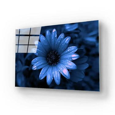 Blue Cape Daisy with Pink Droplets Glass Wall Art - Zoomed Out - DIY - CreoGlass®