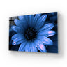 Blue Cape Daisy with Pink Droplets Glass Wall Art - Zoomed In - DIY - CreoGlass®