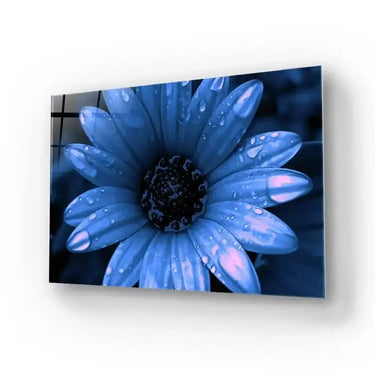 Blue Cape Daisy with Pink Droplets Glass Wall Art - Zoomed In - DIY - CreoGlass®