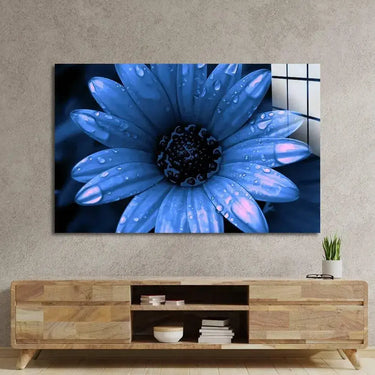 Blue Cape Daisy with Pink Droplets Glass Wall Art - Zoomed In - DIY - CreoGlass®