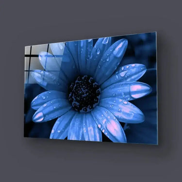 Blue Cape Daisy with Pink Droplets Glass Wall Art - Zoomed In - DIY - CreoGlass®
