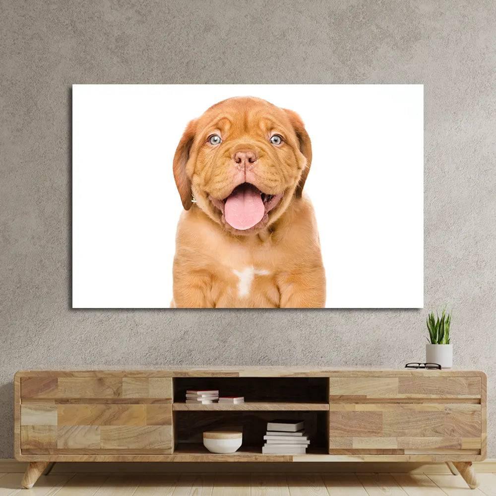 Bordeaux Puppy Dog Isolated Glass Wall Art - DIY - CreoGlass®
