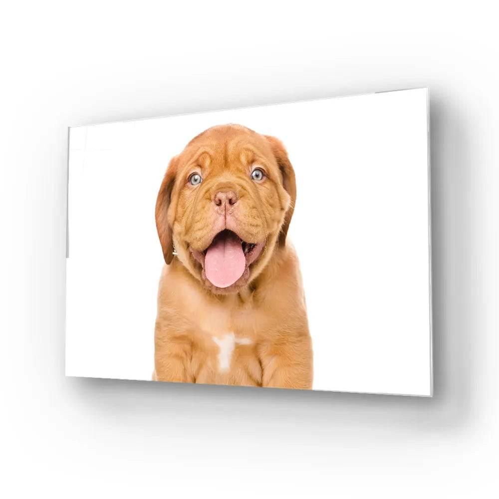 Bordeaux Puppy Dog Isolated Glass Wall Art - DIY - CreoGlass®