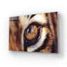 Closeup Bobcat Eye Glass Wall Art - DIY - CreoGlass®
