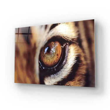 Closeup Bobcat Eye Glass Wall Art - DIY - CreoGlass®