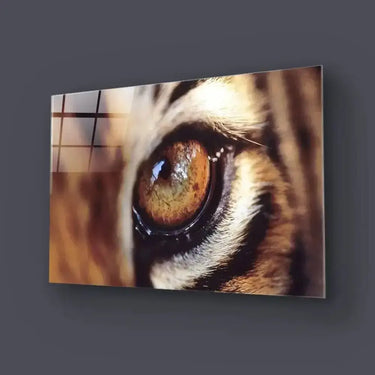 Closeup Bobcat Eye Glass Wall Art - DIY - CreoGlass®