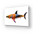 Colourful Abstract Shark Glass Wall Art - DIY - CreoGlass®