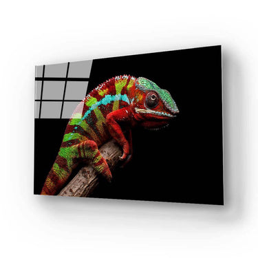 Colourful Chameleon Glass Wall Art - DIY - CreoGlass®