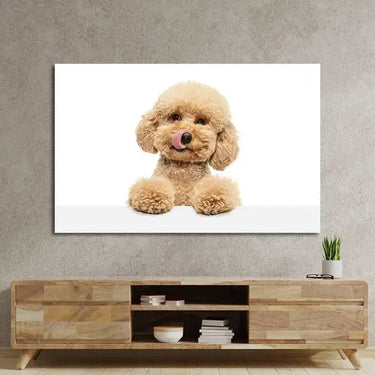 Cute Maltipoo Puppy Posing Glass Wall Art - DIY - CreoGlass®