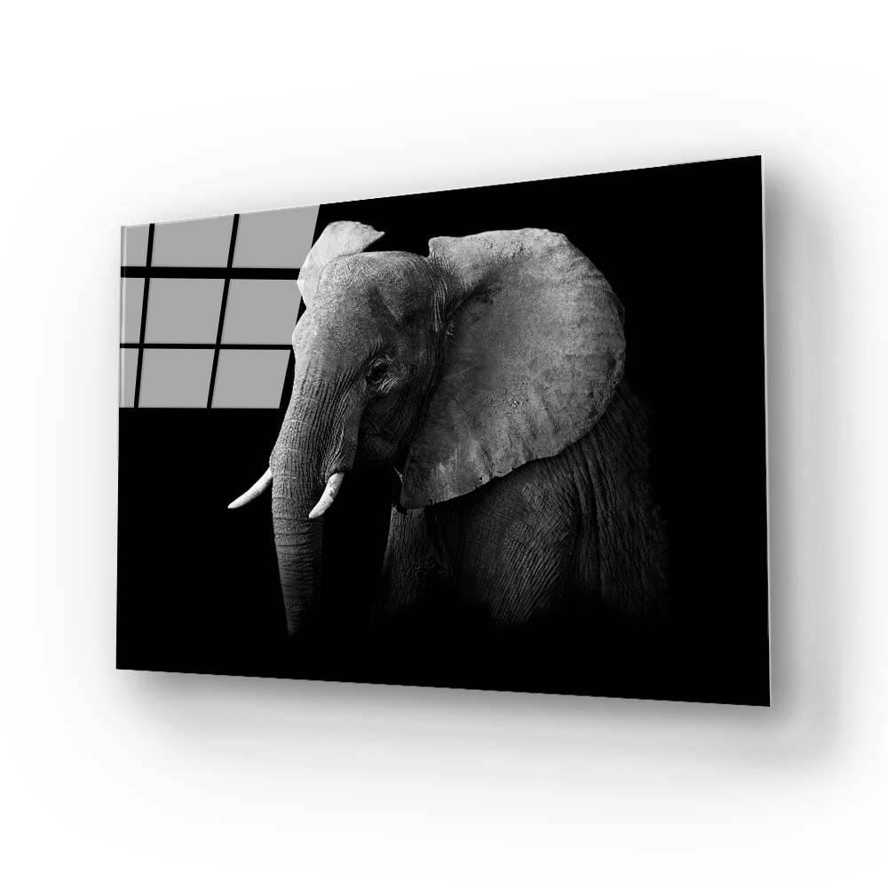 Elephant Black and White Glass Wall Art - DIY - CreoGlass®