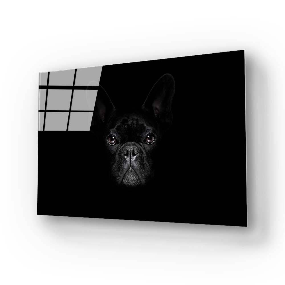 French Bulldog Black and White Photo Glass Wall Art - DIY - CreoGlass®