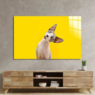 Funny Sphynx Cat Tilting Head Glass Wall Art - DIY - CreoGlass®