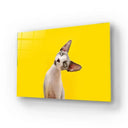 Funny Sphynx Cat Tilting Head Glass Wall Art - DIY - CreoGlass®