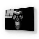 Gorilla Head Photo Glass Wall Art - DIY - CreoGlass®