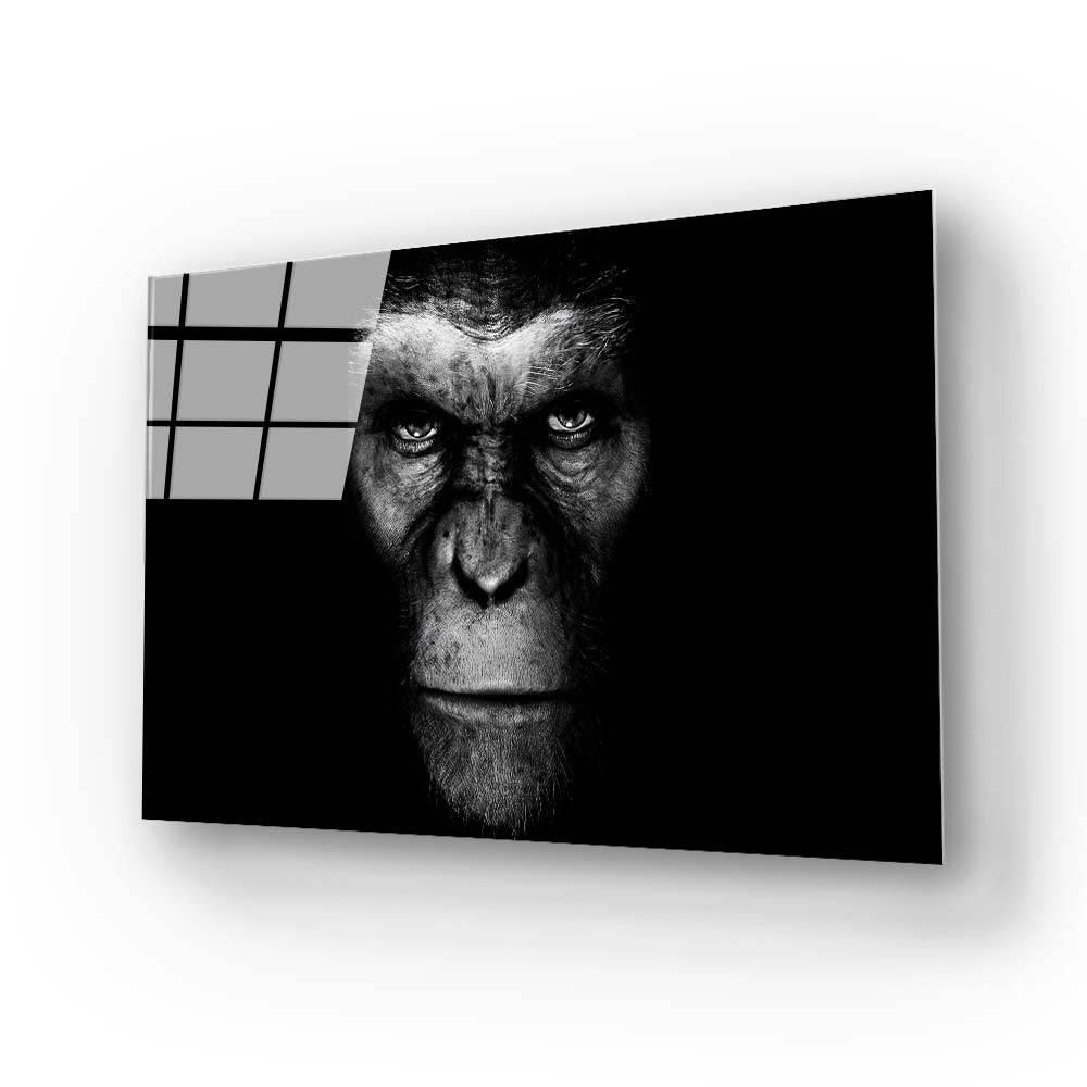 Gorilla Head Photo Glass Wall Art - DIY - CreoGlass®