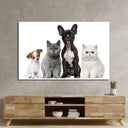 Group Of Dogs And Cats White Background Glass Wall Art - DIY - CreoGlass®
