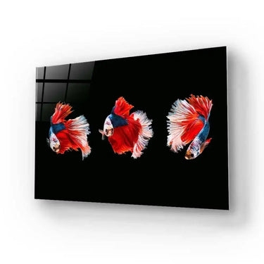 Halfmoon Beta Fish Glass Wall Art - DIY - CreoGlass®